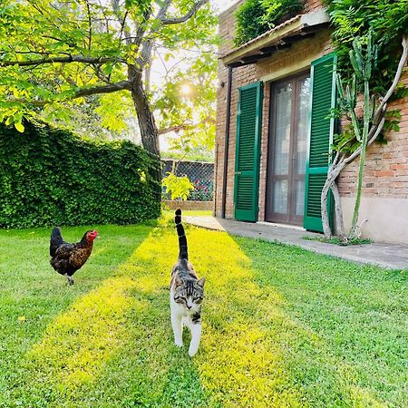 Agriturismo Salcino Βίλα Γκροσέτο Εξωτερικό φωτογραφία