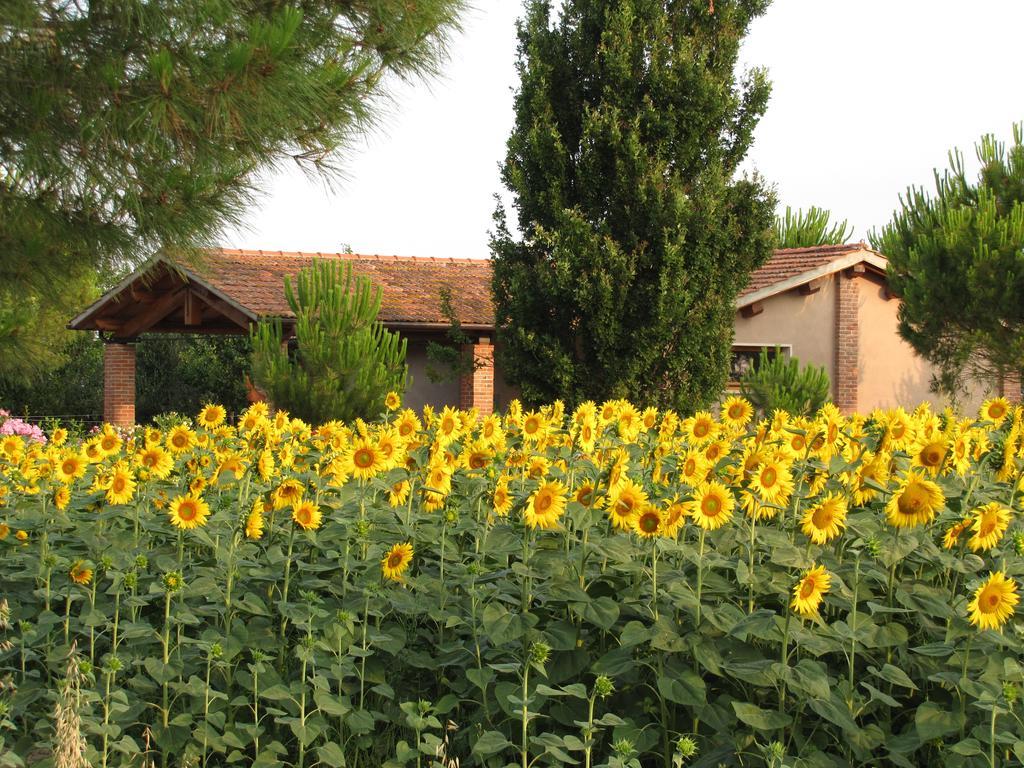 Agriturismo Salcino Βίλα Γκροσέτο Εξωτερικό φωτογραφία